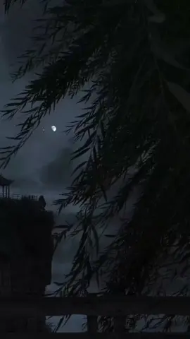 #باسم_الكربلائي #ياهوى الشمالي#اكسبلورexplore #tikto #😭💔🥀😭💔🥀😭💔😭💔 