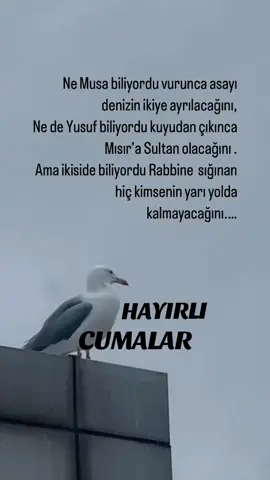 #hayırlıcumalar🌹🌺🌺🌷💖 #cumanız_mübarek_olsun🌹🕋🌹🕌🤲 #cumanızmübarekolsun 