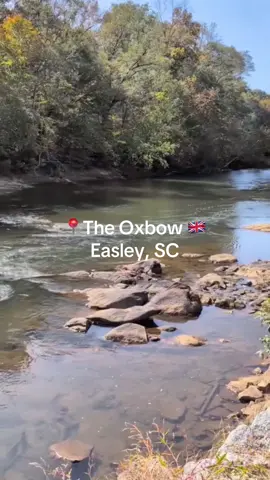 If you’ve been craving real British fish & chips… you don’t need a plane ticket, you just need The Oxbow. 🇬🇧🍟 Chef Ray is actually from the U.K., the specials change every week (secret menu drops 👀), and yes—things sell out fast. Open Thurs & Fri for dinner + Sunday midday… and you get to eat it all overlooking the Saluda River. Perfection. Tag your dinner buddy and GO EARLY. This spot is a gem, y’all. ✨ #livingineasleysc #easleysc #easley #easleysrealestatemama #fishandchips 