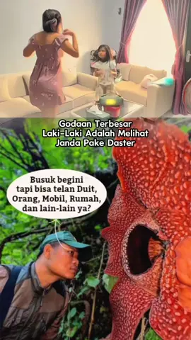 #CapCut  Rafflesia hasseltii ditemukan di Kecamatan Sumpur Kudus, Kabupaten Sijunjung, Sumatera Barat, pada hari Senin (17/11/2025). Penemunya ialah Chris Thorogood (biolog Universitas Oxford Botanic Garden and Arboretum), Joko Witono (Badan Riset dan Inovasi Nasional), Septi Andriki (pegiat konservasi-pemerhati puspa langka), dan Iswandi (Lembaga Pengelola Hutan Nagari Sumpur Kudus). Untuk menemukannya, tim menjelajah siang hingga malam dan harus memasuki habitat harimau. Untuk tiba di lokasi, tim menempuh perjalanan selama 20 jam dari Bengkulu. 