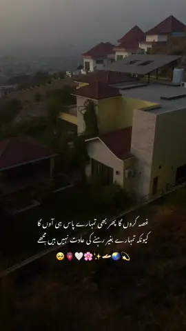 کیونکہ تمہارے بغیر رہنے کی عادت نہیں ہیں مجھے۔🥺🫴🏻🤍