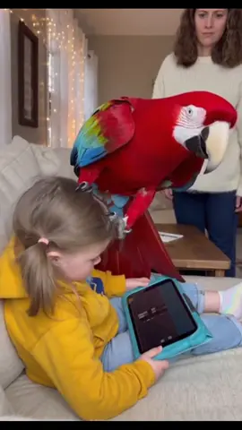 Mimzo Teaches Julia a Powerful Lesson About Respecting Her Mom #MimzoParrot #ParentingMoments #RespectYourMom #FunnyParrot #viralshorts 