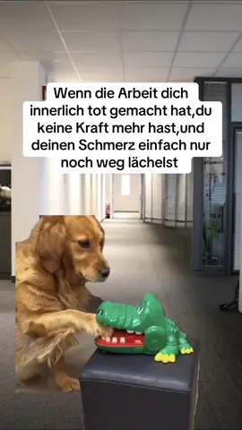 Markiere wer das sein kann #arbeit #keinekraftmehr #schmerz #Meme #MemeCut 