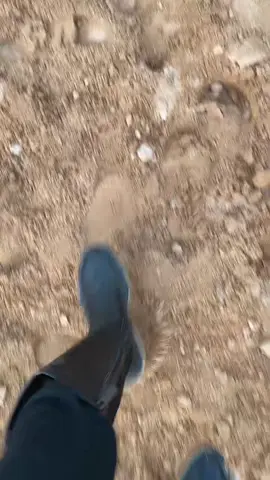 #ماشاءالله #اسطبل_العذيه 