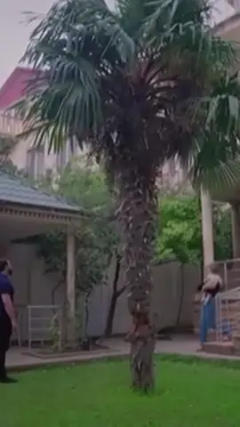 😍 #keşfet #fypシ゚ #xəyanət #tural #dilara