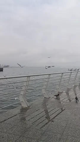 #fyppppppppppppppppppppppp #sibelcan #fouryoupage #affet #azerbaijan🇦🇿 @Sibel Can  ❤️❤️❤️🇦🇿🇦🇿🇦🇿