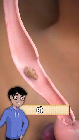 Expériences scientifiques de digestion  #Science #education #experiencescientifique 