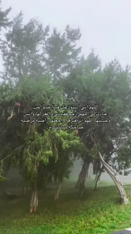 اميييين يارب #اللهم_ارحم_ريناد #fyp #فقد #foryou #اللهم_ارحم_موتانا_وموتى_جميع_المسلمين 