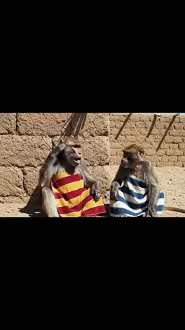 @ملوك الضحكة @Danzy 