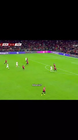 🇦🇱👨‍🦽 || #viral #poland #foryou 