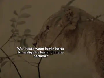 ⚡🤍 #videoviral #Z4ck..15