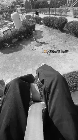 اويلييي. #العراق #سفره_مدرسيه #ترند #foryou 