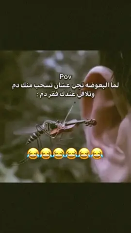 #الشعب_الصيني_ماله_حل😂😂🙋🏻‍♂️ #اضحك_من_قلبك_ونسى_همك🤣🤣🤣🤣🤣🤣 