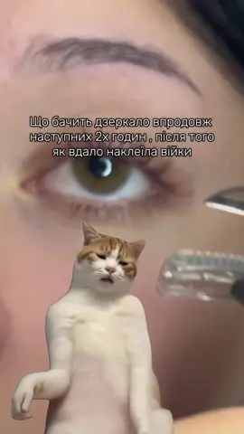 Ну як не милуватися годинами такою красою😻 Instagram: llash.secrett💗#CapCut 