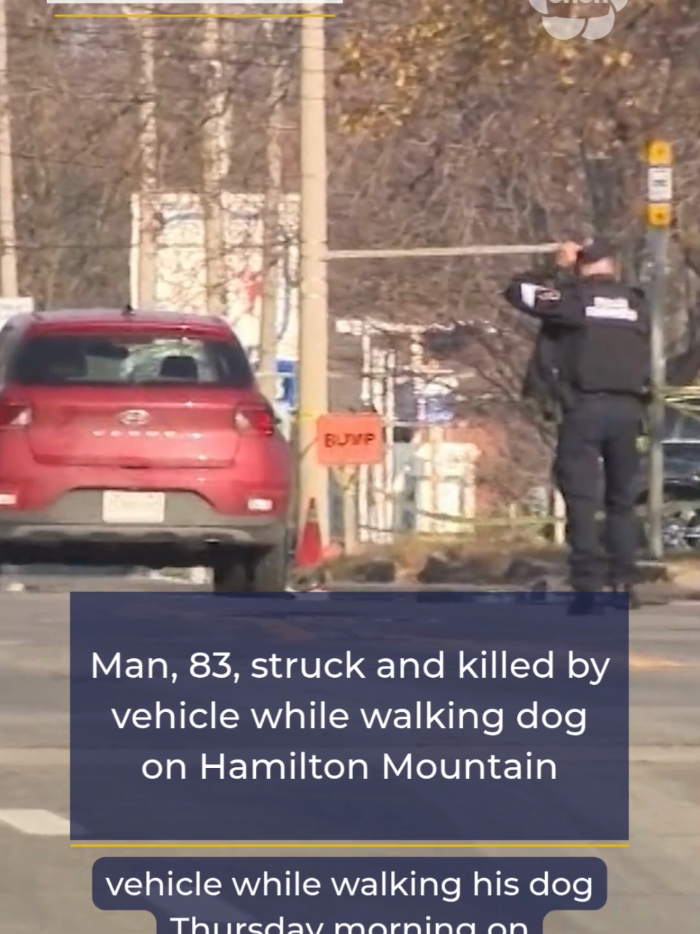 An 83-year-old man was struck and killed by a vehicle while walking his dog Thursday morning on Hamilton Mountain. #hamilton #hamont #hamiltonontario #crash #collision 