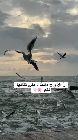 #علي_عبدالله #ثقة_في_الله_نجاح # #دهوك #باعدري 