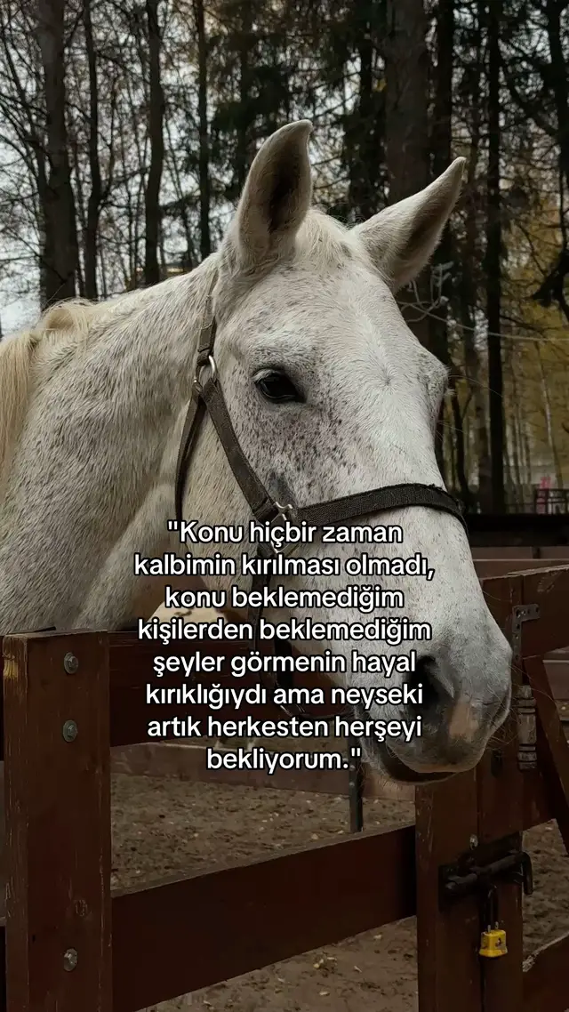 #beniöneçıkart #benionecikartiktok 