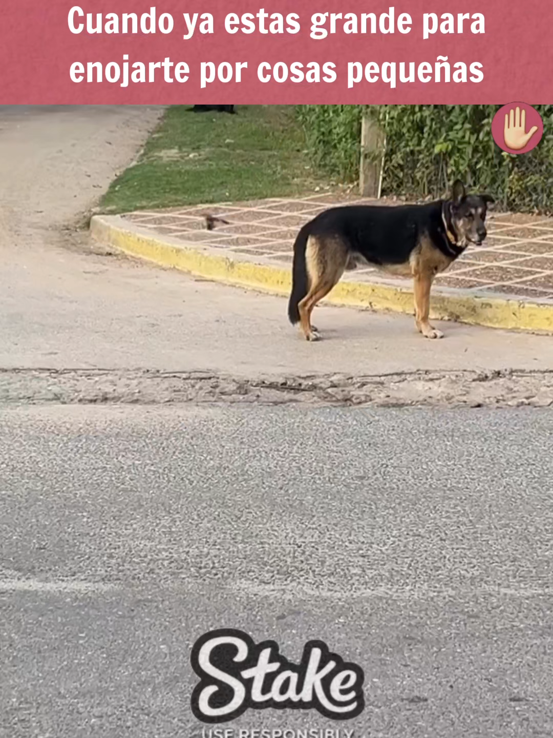 Cuando ya estas grande