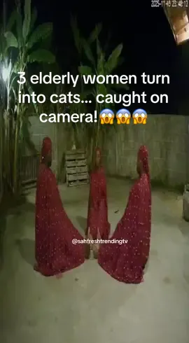 3 elderly women caught transforming into cats… this footage is unbelievable 😱🐈‍⬛ Watch till the end! #M#MysteryAfricaC#CCTVDiscoveryU#UnexpectedTransformationS#SupernaturalMomentsfyp 
