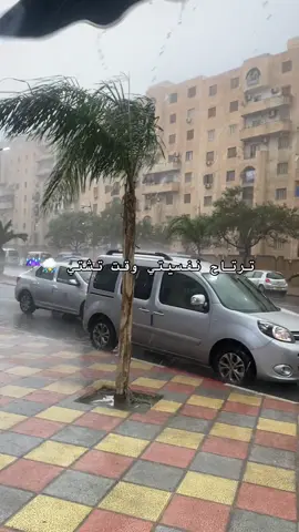 #blida09🇩🇿 #algerie #شتاء #fypシ゚ 