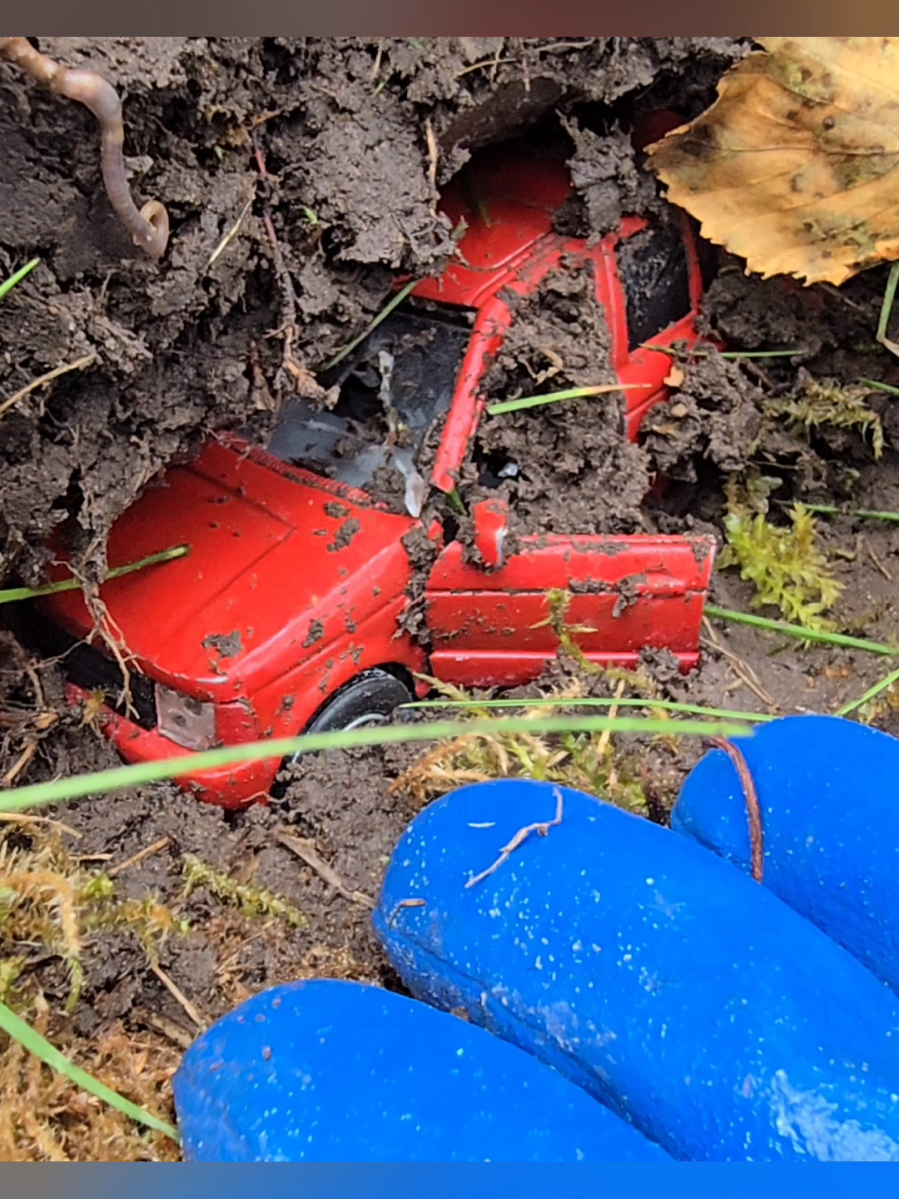 Autumn findings are amazing 