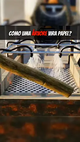 Você usa papel todos os dias, mas já viu como ele realmente é feito? #curiosidades #papel #fabrica #ciencia #tecnologia 