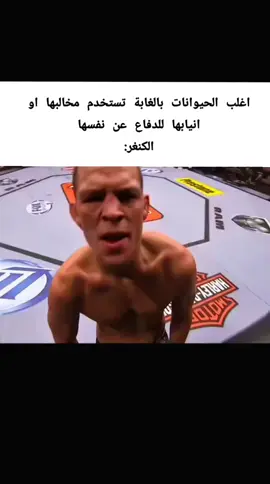 #fyp #viral #foryou #الشعب_الصيني_ماله_حل😂😂 #ميمز ياخي الكنغر