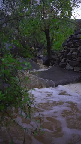 #اللهم_صلي_على_نبينا_محمد 