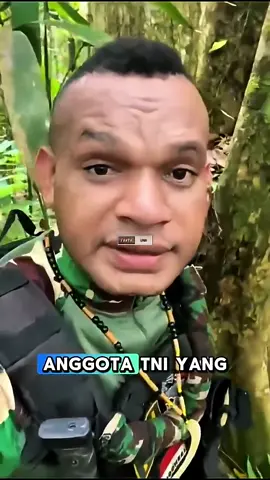 TNI Temukan Jejak Kode Yang Ditinggalkan Anggota KKB.#shorts #tni #viral