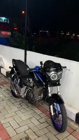 #tigerpece #tigergank🚀 #apikgonmu #fyp #tigerindonesia 