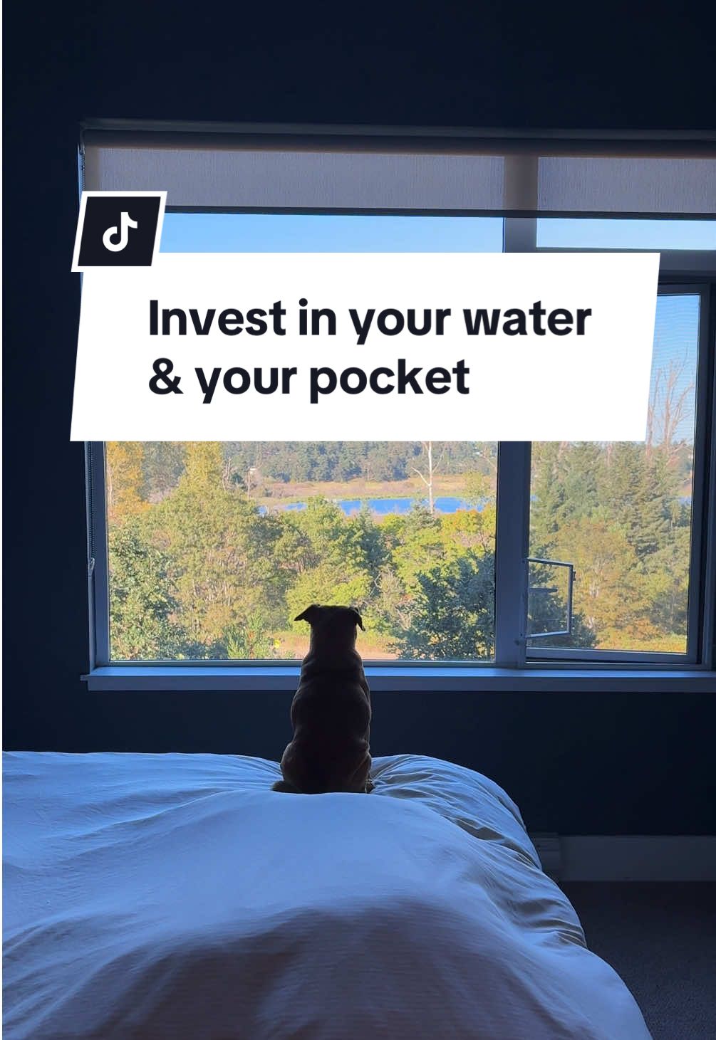It’s wild how we make excuses about a water system, but won’t think twice about buying the next iPhone, or financing a $60,000 car.  If you’re ready to upgrade your water system and potentially make some money… DM or comment “POWERHOUSE” and I’ll send you the replay from our live call as well as all the information you need.  #healthandwealth #sidehustlesforbeginners #makemoneyonlineathome #womenwhohustle #creatorsearchinsights 