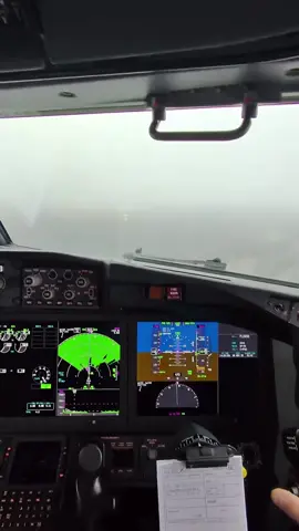 B737 Max Foggy Landing ✈️ #foggy#cockpit#b737#aviation#landing