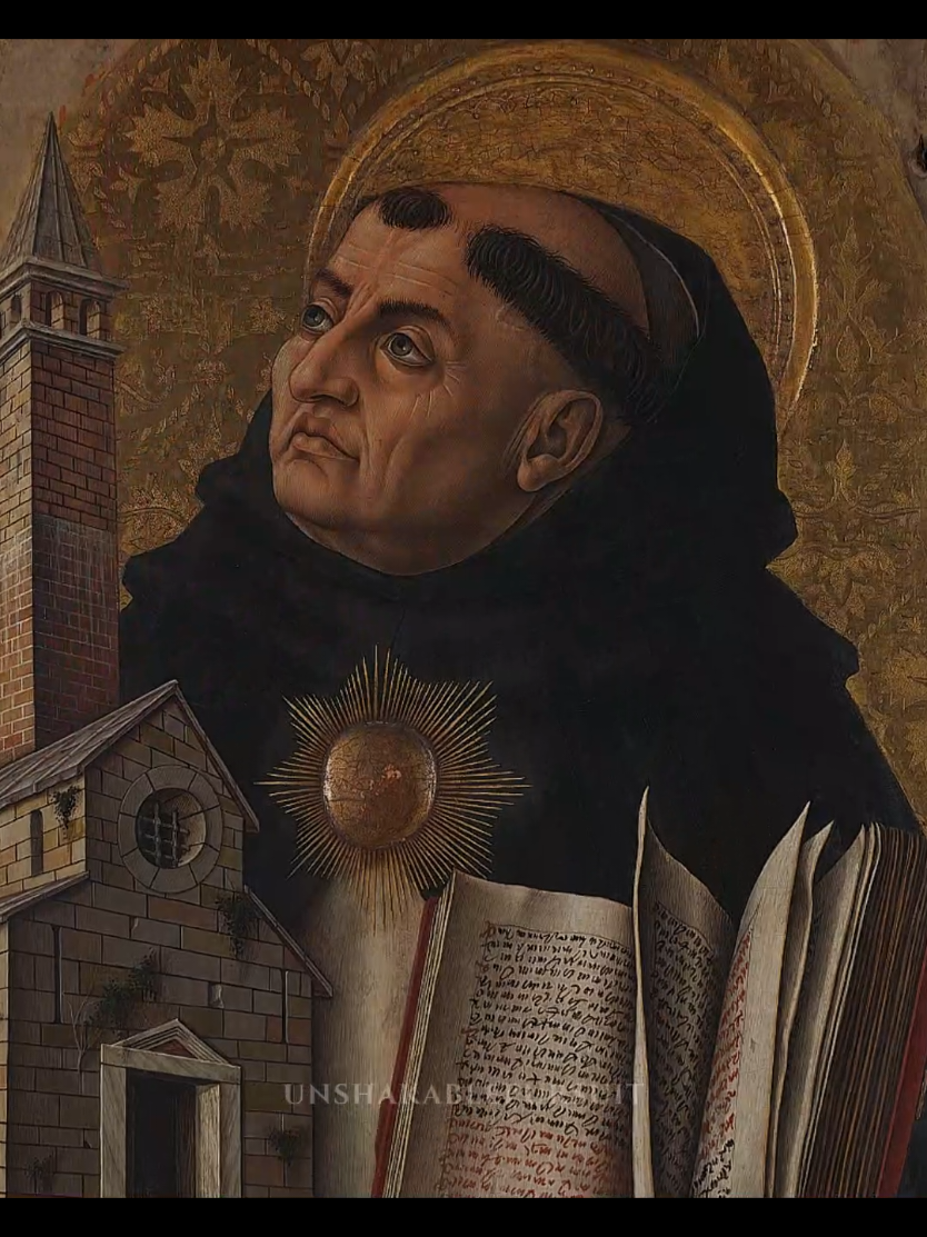What if the existence of God isn’t a matter of faith... Follow @unshakablepursuit if you want to build unshakable thinking and relentless pursuit. This video is not a direct quote from Thomas Aquinas, but a modern interpretation inspired by his ideas. It aims to capture the essence of his philosophy in a modern and accessible way. #thomasaquinas #aquinas #philosophy #stoicphilosophy #unshakablepursuit 