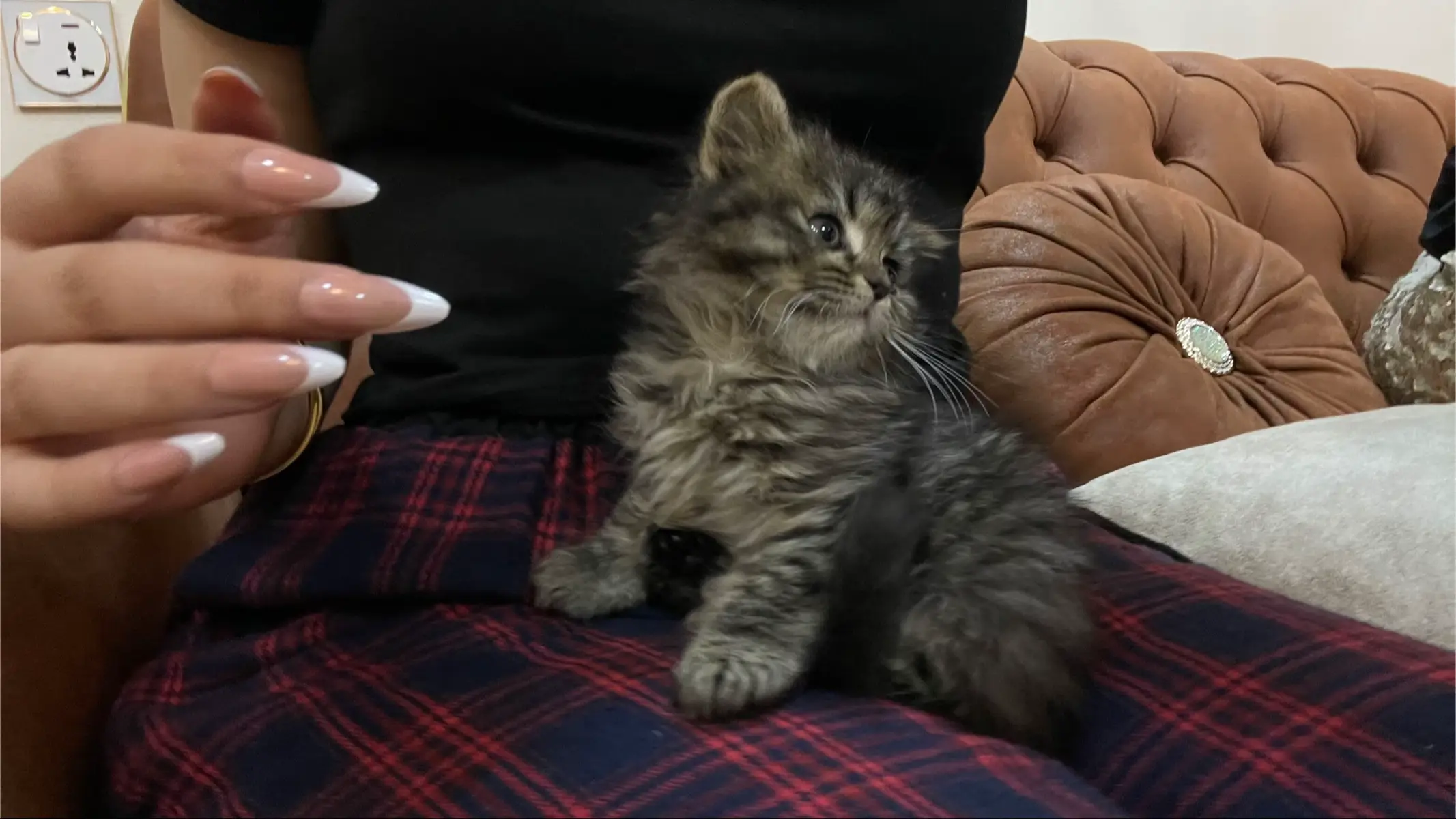 #fyp #iraq #winter #night #viral 