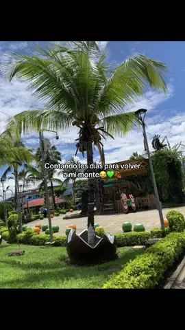 💚#selva #paratiiiiiiiiiiiiiiiiiiiiiiiiiiiiiii 