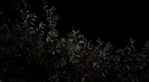 #,ًانام،ومايجيني،نوم!سمير_صبيح❤️ #الشعب_الصيني_ماله_حل😂😂 #تصويري_احترافي_الاجواء👌🏻🕊😴 #مجرد_ذووقツ🖤🎼.  #الاجواء_ولاغلطه 🌚🫶🏻