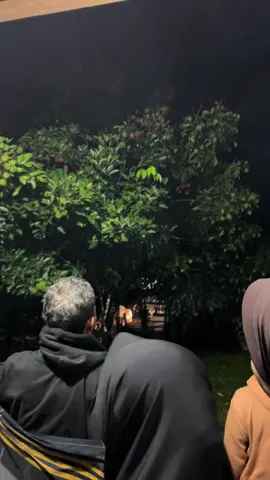 Semoga tenang di alam sana dek nanda🥺🤲