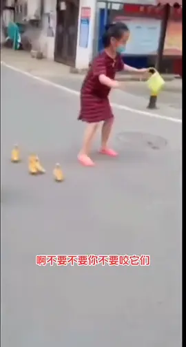 狗主人统一话术：我家狗不咬人[捂脸]