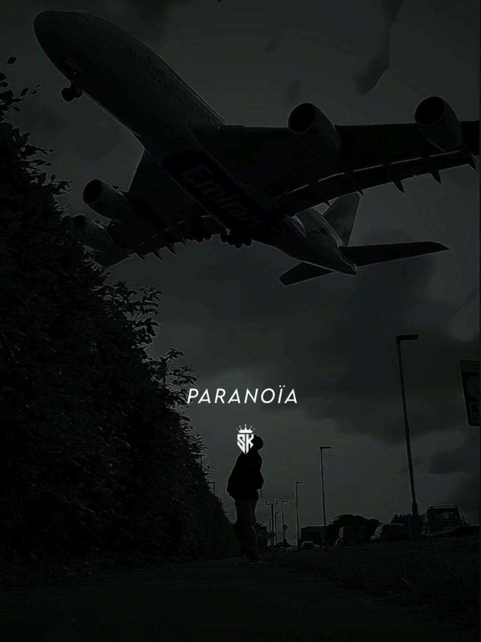 Paranoïa 🔥 #fyp #foryou #foryoupage #paranoïa #تصميم_فيديوهات🎶🎤🎬 
