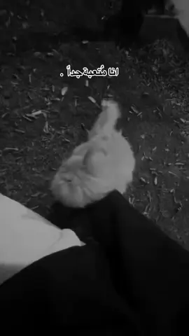 ❤️‍🩹. #foryoupage 