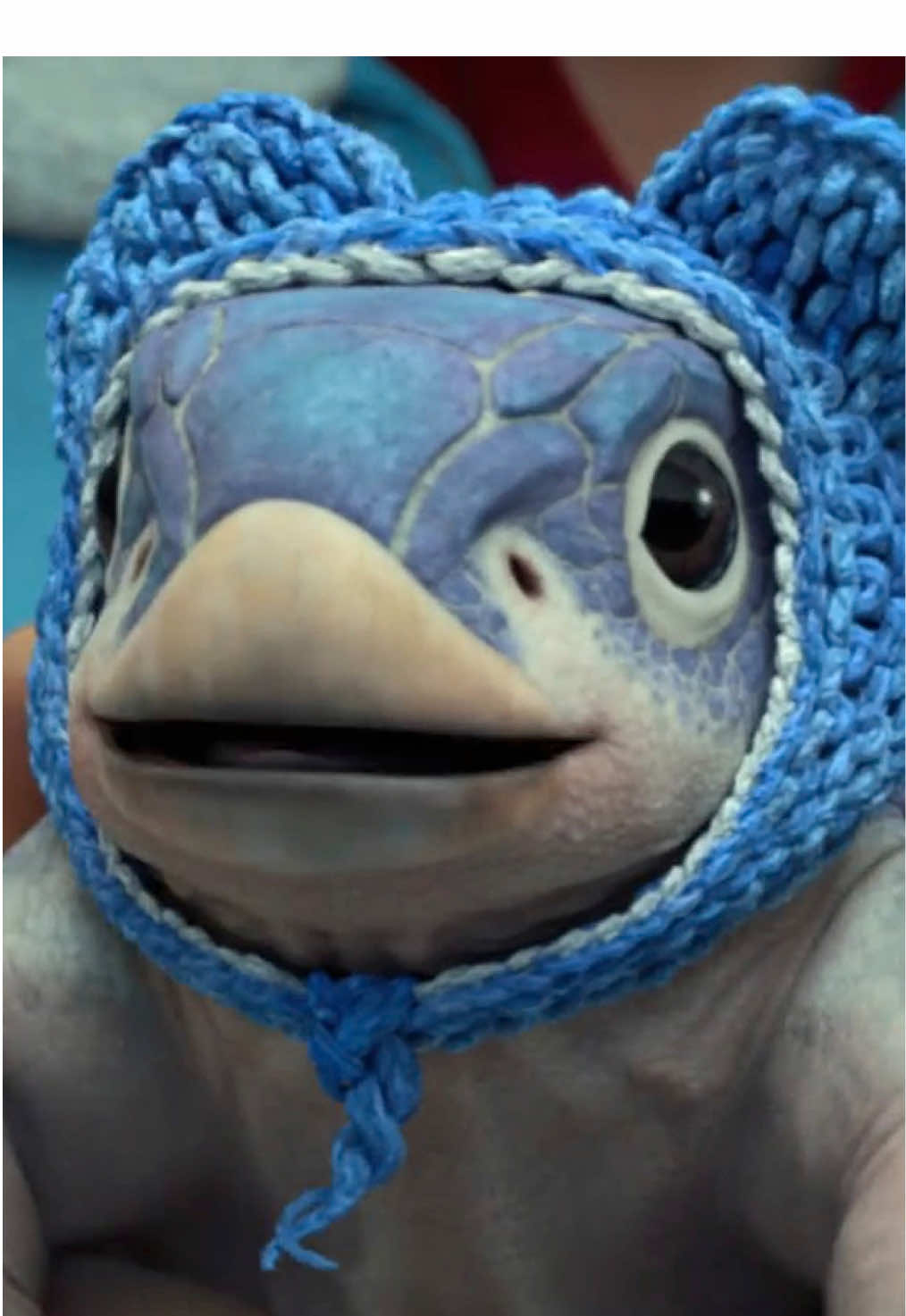 ¡Es hooooooy, es hoy! 🗣️ La temporada 4 de #JurassicWorld: Teoría del dinocaos ya está disponible 🦕 #Dinosaurios #Dino #Chaostheory #CampamentoCretacico    