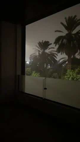 نخيل ومطر منظر شاعري❣️#fyp #4u #foryoupage #explore #مطر 