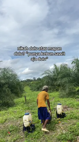 #petanimuda #petanimudasukses #petaniindonesia🇮🇩🇮🇩🇮🇩🌿🌿 