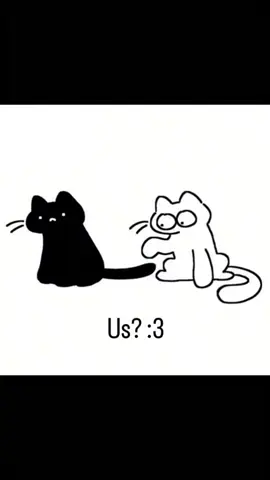 #Love #youandme #videosparadedicar #videostodedicate #catlovers 