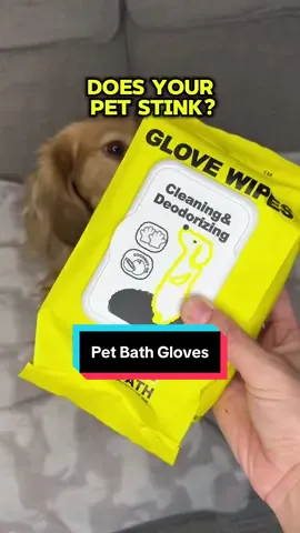 Grab these pet bath gloves today! #furryhaha #pets #dog #PetsOfTikTok 