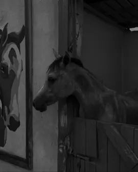 🖤#foryou #foryoupagе #actives? 