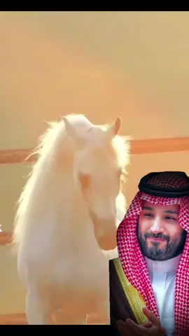 #🕊______🐎💫🐎____mانااا  #؟  #في هذا اليوم 