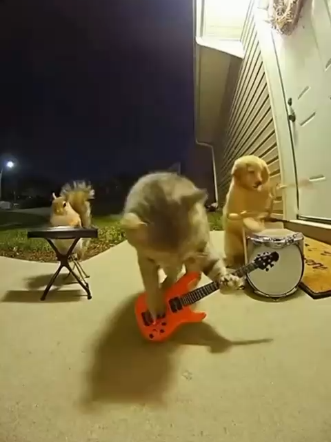 AI has officially turned quiet suburbs into full-blown concert venues. Thanks to OpenAI’s Sora 2, the internet is exploding with hyper-realistic doorcam clips of a dog smashing the drums, a cat shredding on guitar, and a squirrel screaming into a microphone — staging a chaotic Rock’n’Roll show right in front of their own owner’s door. What started as a silly idea has become a viral showcase of how far AI video generation has come. Sora 2 can now recreate lifelike animal motion, realistic instrument animation, and perfectly timed musical chaos — all from a single text prompt. The result looks so real you might actually believe this trio practices every night just to terrorize the neighborhood with bangers. It’s loud, hilarious, and absolutely legendary all at once. Would you open the door… or file a noise complaint against your own pets? 👀💬 Join the fastest-growing AI community on TikTok @longliveai #ai #sora #band #animals #viral #meme #aivideo #aiart #sora2 #openai #doorcam #dog #cat #squirrel