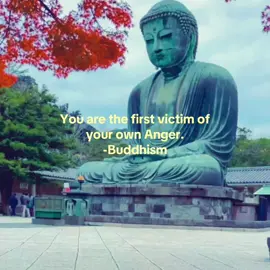 #buddhismus #buddha  Buddhism Quote ☸️🪷 ||Buddha Quote || 🕉️  #fyp #viral #fy 