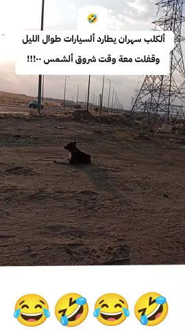 #الكلب سهران🤣##